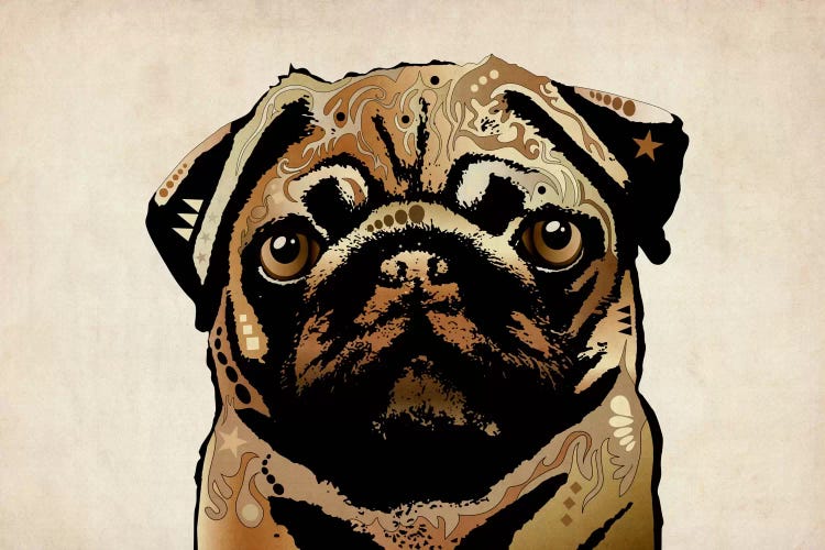 Pug Dog