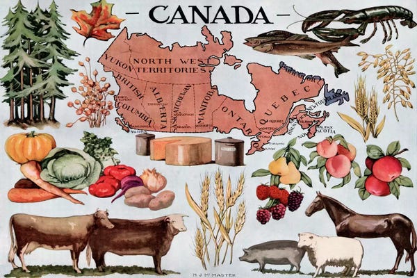 Vintage Animal Illustrations: Canada's Natural Resources - Vintage Poster by Unknown Artist