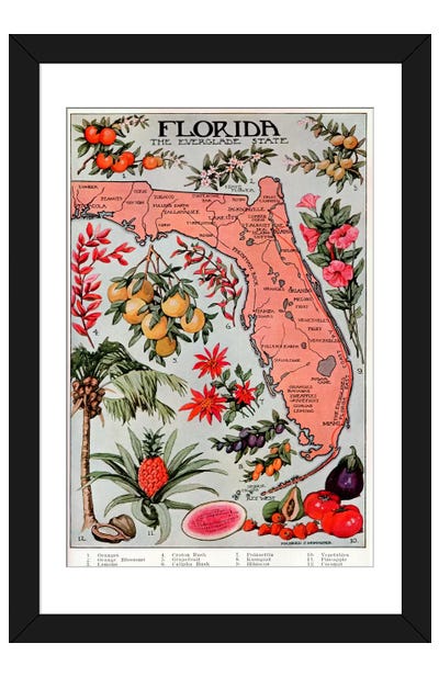 State Map of Florida (Natural Resources) - Vintage Poster Paper Art Print - Maps