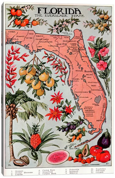 State Map of Florida (Natural Resources) - Vintage Poster Canvas Art Print - Best Selling Map Art