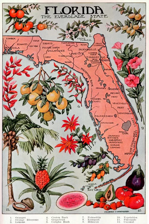 State Map of Florida (Natural Resources) - Vintage Poster by Unknown Artist wall art