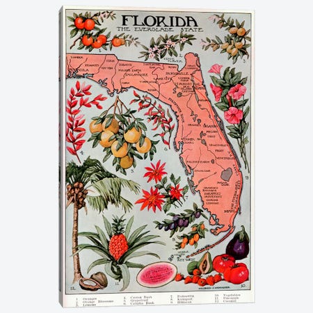 State Map of Florida (Natural Resources) - Vintage Poster Canvas Print #8810} by Unknown Artist Canvas Print