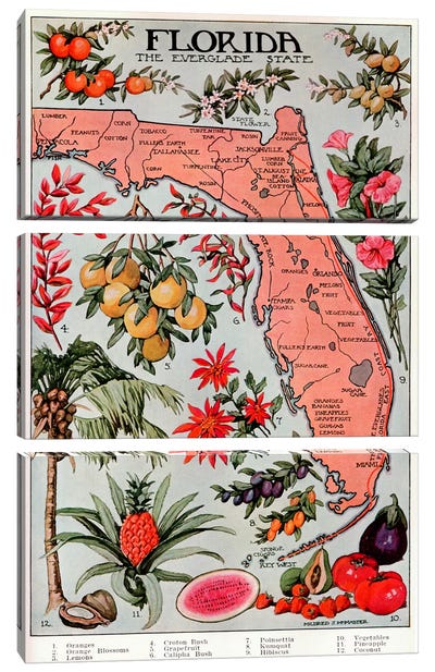 State Map of Florida (Natural Resources) - Vintage Poster Canvas Art Print - 3-Piece Map Art