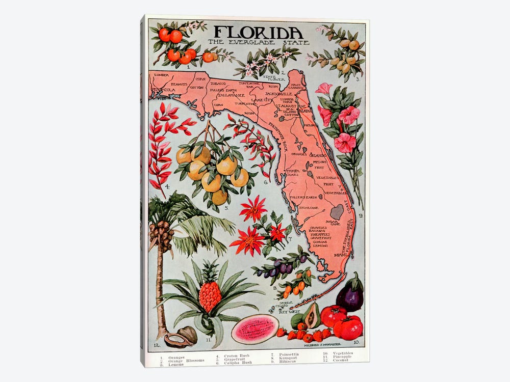 State Map of Florida (Natural Resources) - Vintage Poster by Unknown Artist 1-piece Canvas Art Print