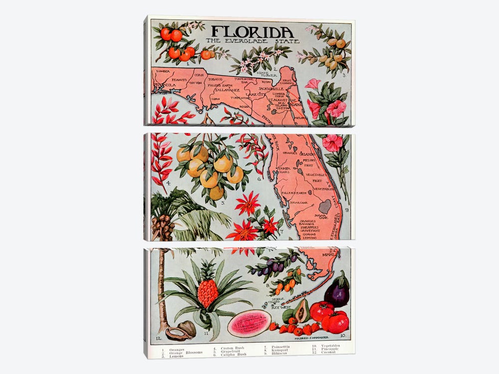 State Map of Florida (Natural Resources) - Vintage Poster by Unknown Artist 3-piece Canvas Print