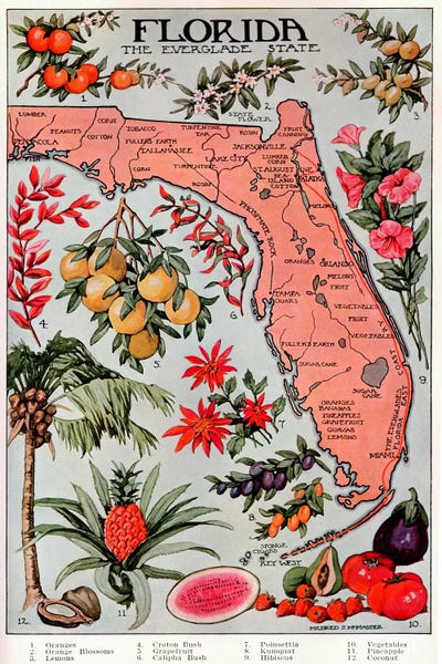 Large Map Art - Canvas Prints: State Map of Florida (Natural Resources) - Vintage Poster by Unknown Artist