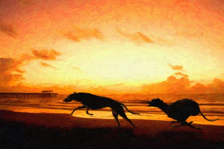 Greyhounds on Beach at Sunset