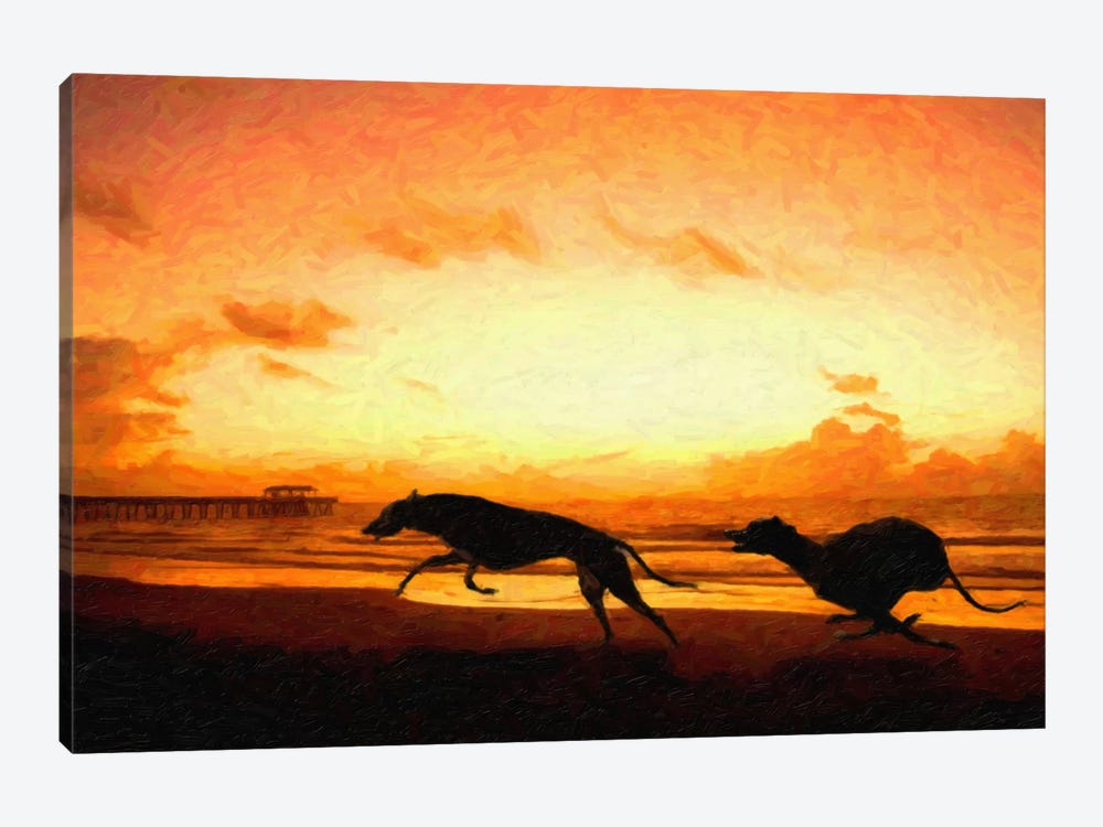 Greyhounds on Beach at Sunset by Michael Tompsett 1-piece Canvas Wall Art