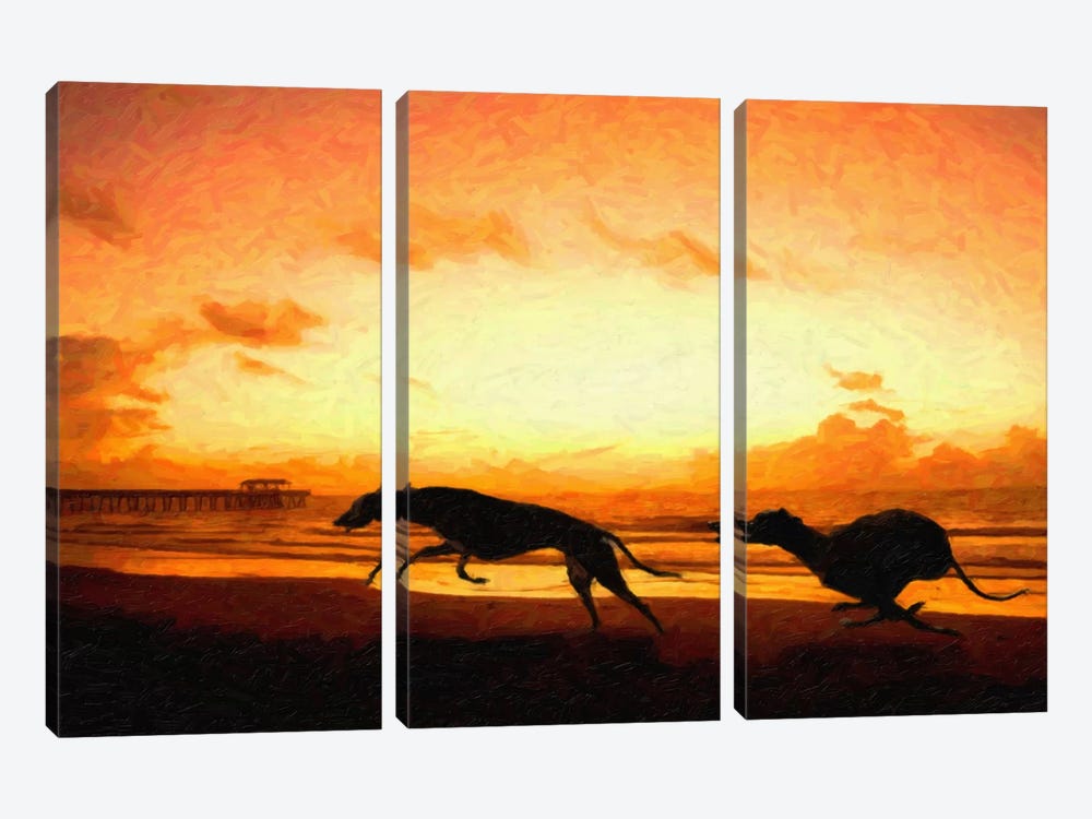 Greyhounds on Beach at Sunset by Michael Tompsett 3-piece Canvas Artwork