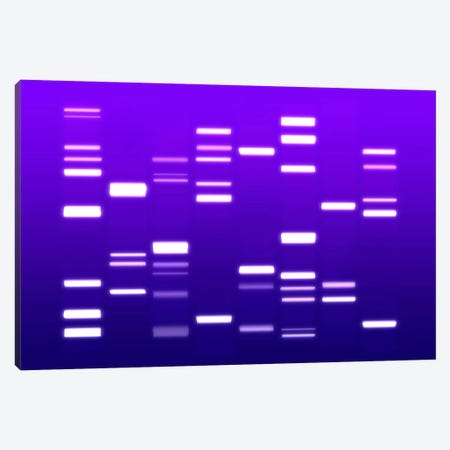 DNA Genetic Code (Purple) Canvas Print #8903} by Michael Tompsett Canvas Art Print