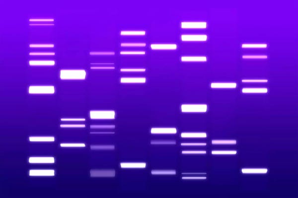 Michael Tompsett: DNA Genetic Code (Purple) by Michael Tompsett