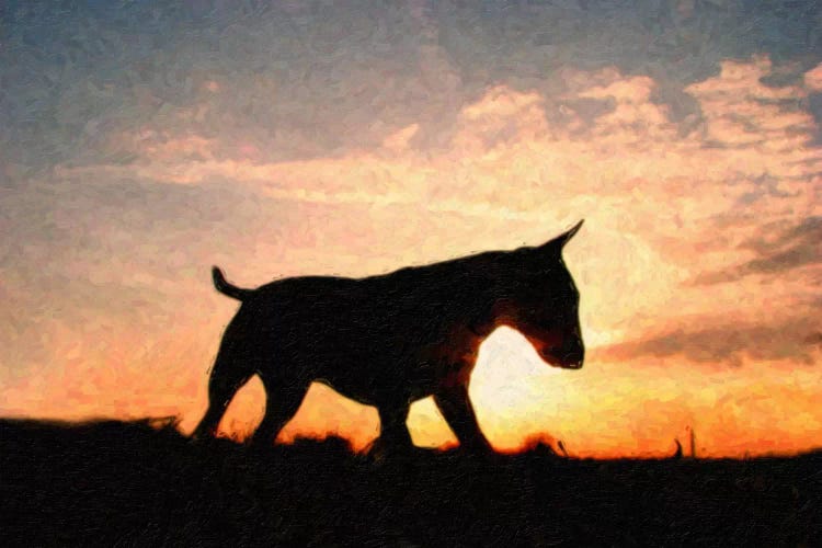 English Bull Terrier by Michael Tompsett wall art