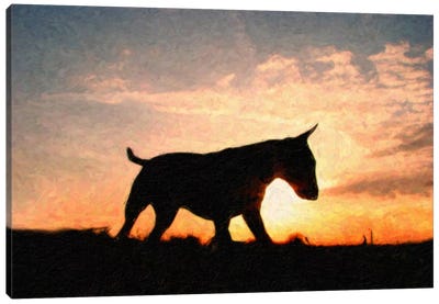 English Bull Terrier Canvas Art Print - Bull Terrier Art