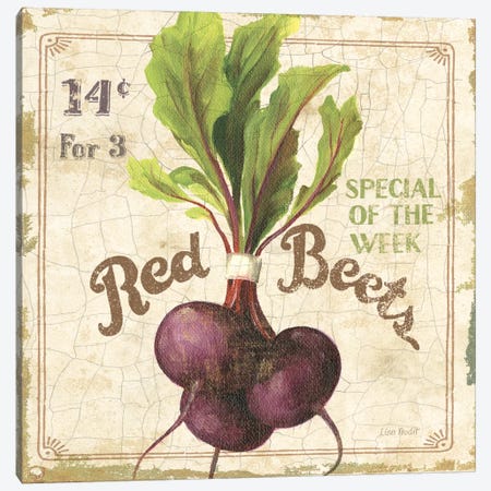 Red Beets (On Special III) Canvas Print #9100} by Lisa Audit Canvas Artwork