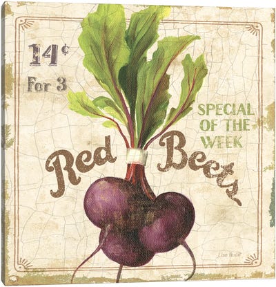 Red Beets (On Special III) Canvas Art Print - Farmhouse Kitchen Art