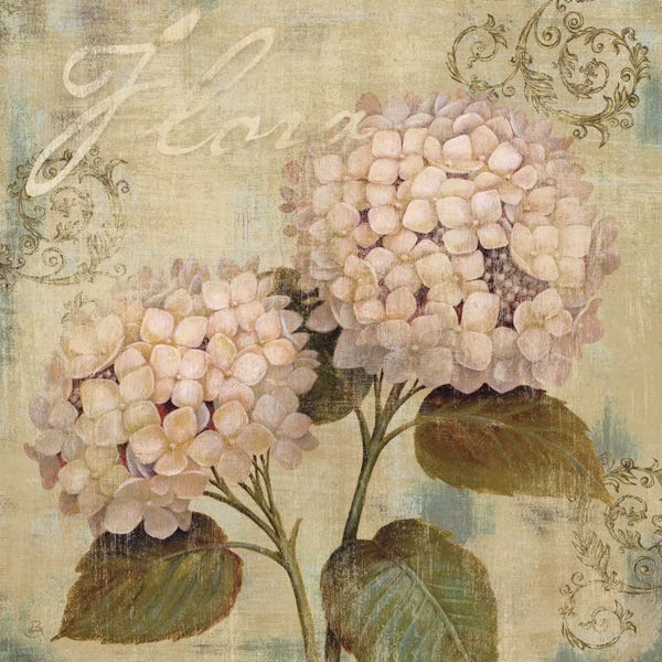 European Décor: Ornament II by Daphne Brissonnet