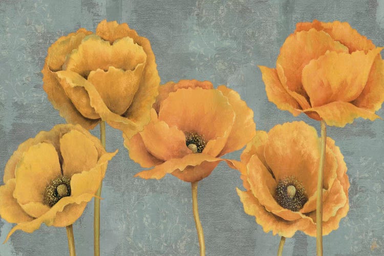 Sunset by Daphne Brissonnet wall art