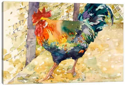 Colorful Rooster Canvas Art Print - Chicken & Rooster Art