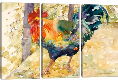 Colorful Rooster Canvas Art Print - 3-Piece Decorative Art