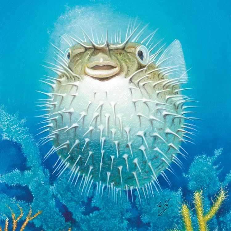Puffer Fish by Durwood Coffey wall art