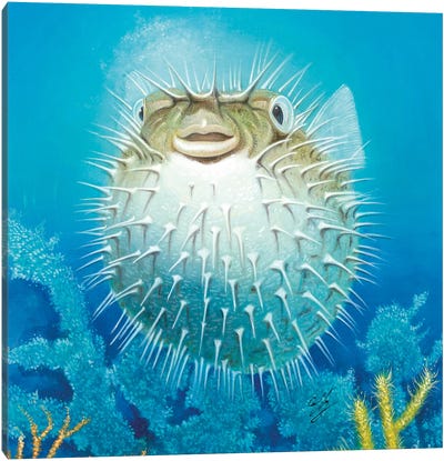 Puffer Fish Canvas Art Print - Kids Ocean Life Art