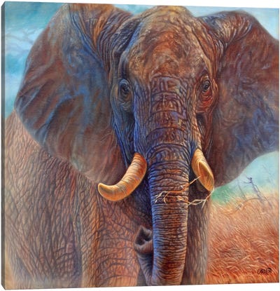 Giant (Elephant) Canvas Art Print