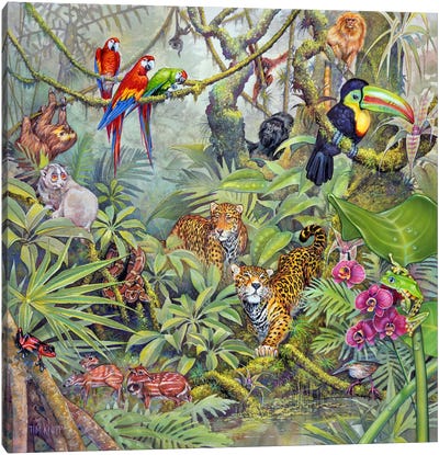 The Rainforest Canvas Art Print