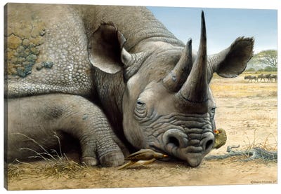 Black Rhino Canvas Art Print - Harro Maass