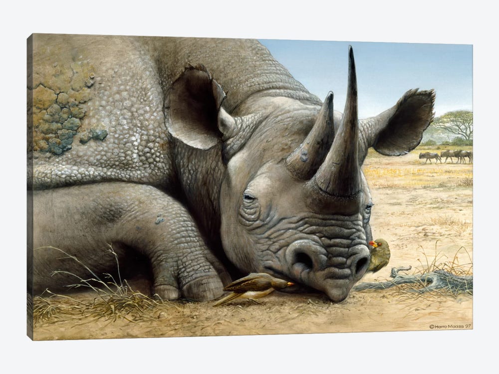 Black Rhino 1-piece Canvas Art