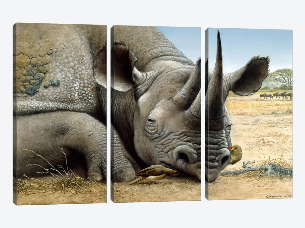 Black Rhino by Harro Maass 3-piece Canvas Art