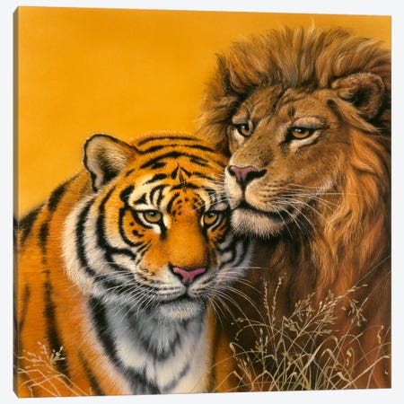 Lion & Tiger Canvas Print #9344} by Harro Maass Canvas Print
