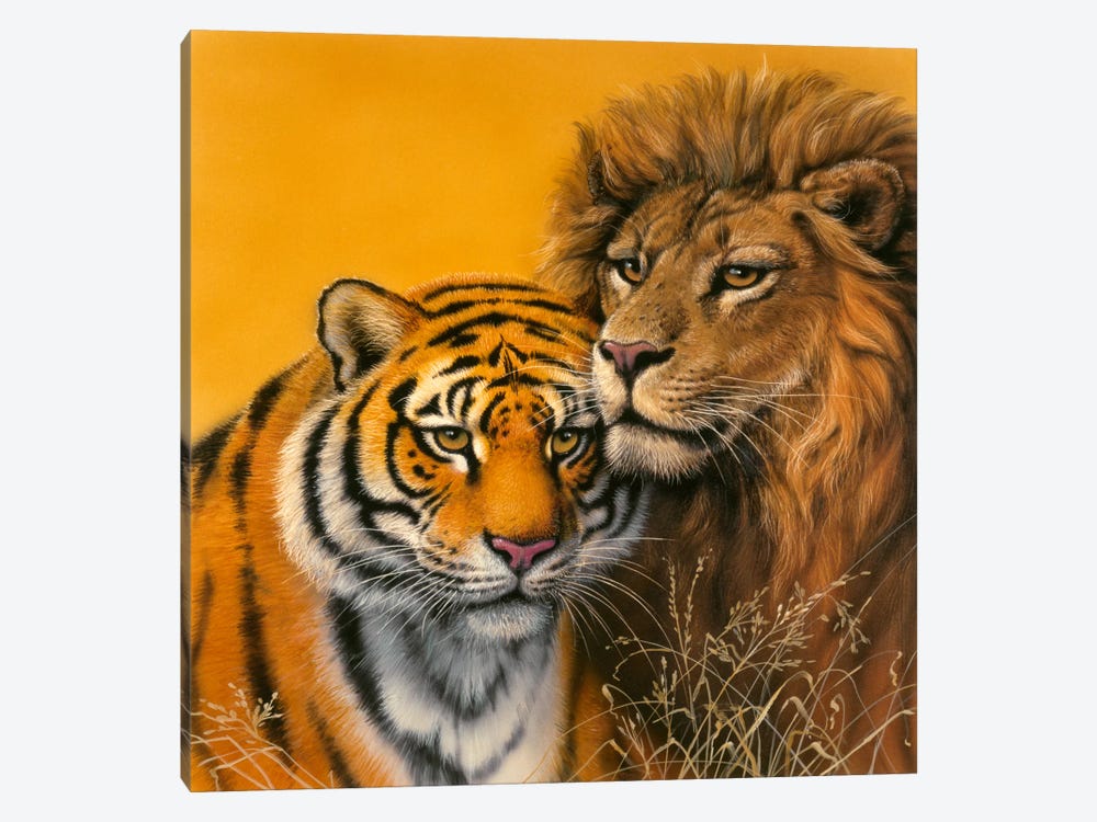 Lion & Tiger by Harro Maass 1-piece Canvas Print