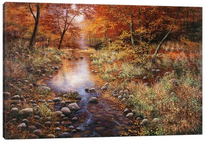 Autumn Gold Canvas Art Print - River, Creek & Stream Art