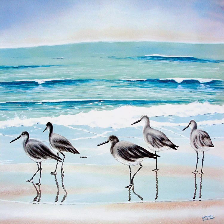 5 Birds by Patrick Sullivan wall art
