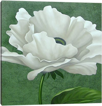 White Poppy Canvas Art Print - Pantone Greenery 2017