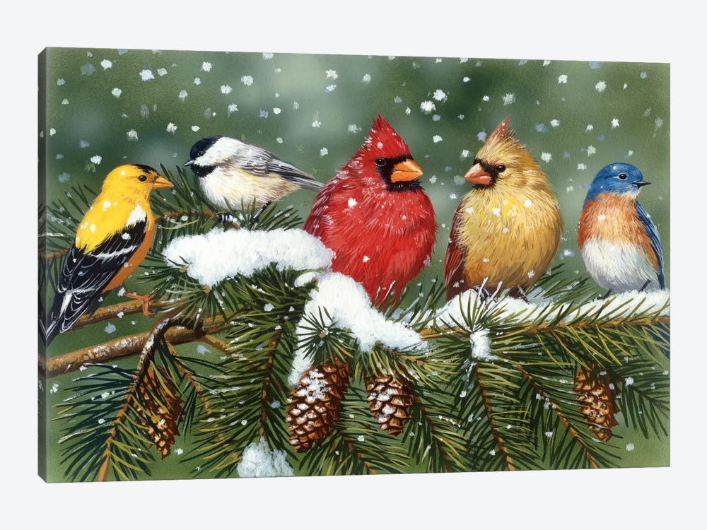 Backyard Birds on Snowy Branch by William Vanderdasson 1-piece Canvas Artwork