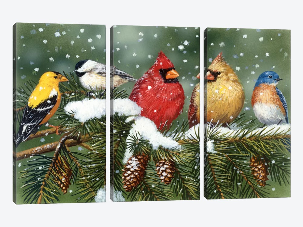 Backyard Birds on Snowy Branch by William Vanderdasson 3-piece Canvas Wall Art
