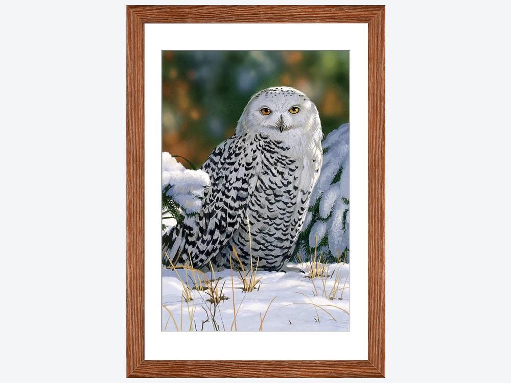 Crystal Art® Snowy Owl Diamond Painting 