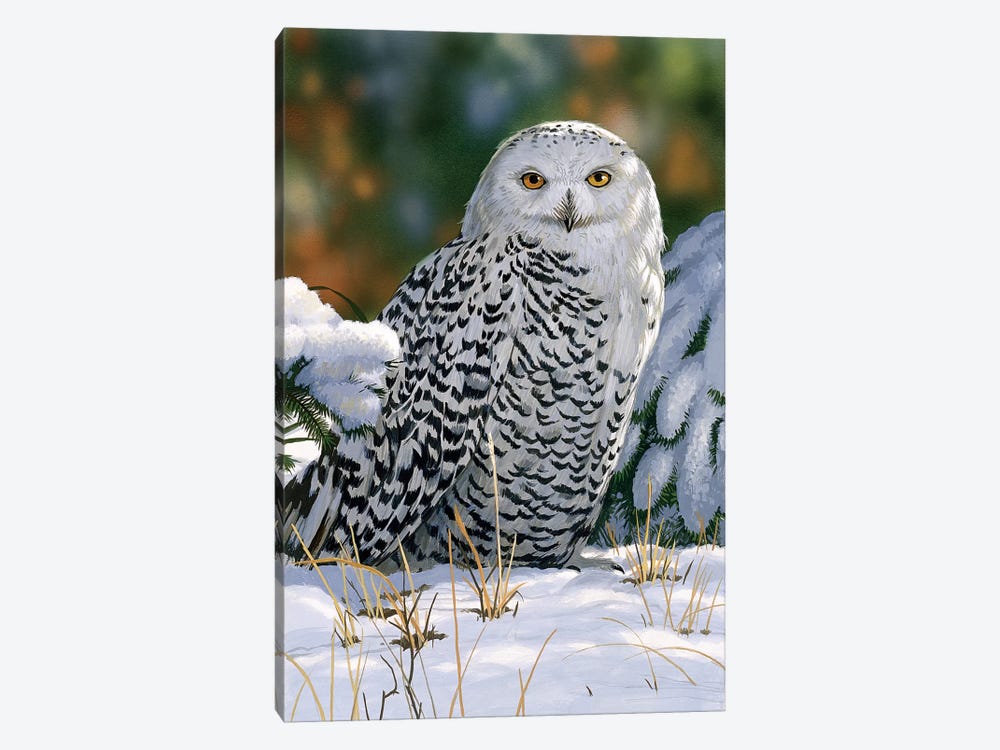 Snowy Owl by William Vanderdasson 1-piece Art Print