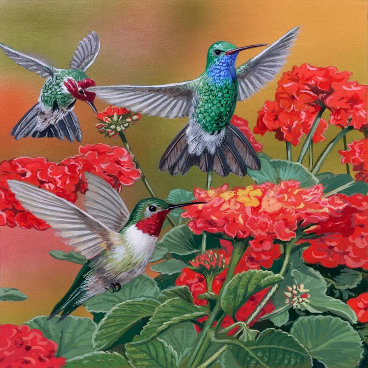 Hummingbirds & Flowers by William Vanderdasson wall art