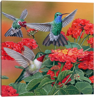 Hummingbirds & Flowers Canvas Art Print - Hummingbird Art