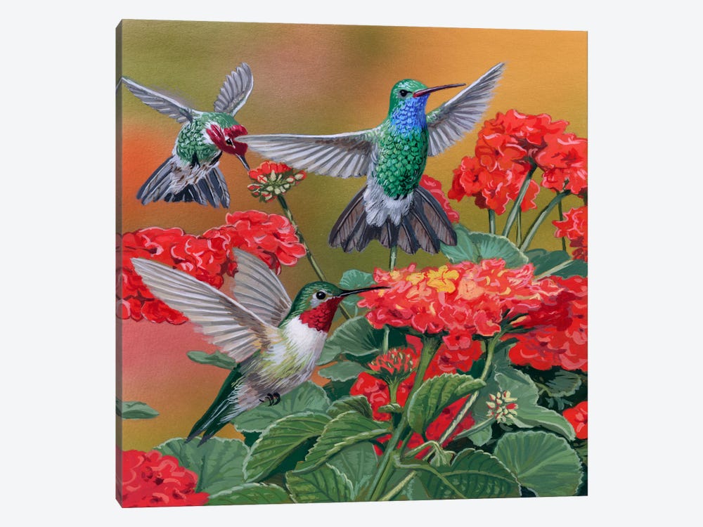 Hummingbirds & Flowers by William Vanderdasson 1-piece Canvas Art