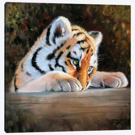 Tiger Cub Face Canvas Print #9568} by Pip McGarry Canvas Art
