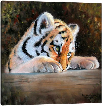 Tiger Cub Face Canvas Art Print