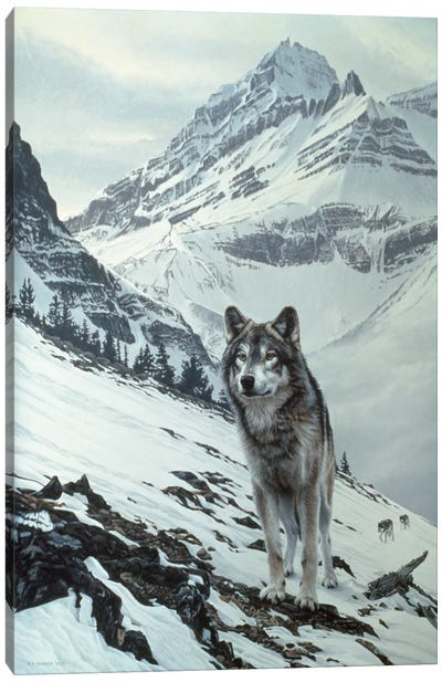Winter Crossing - Wolf Canvas Art Print