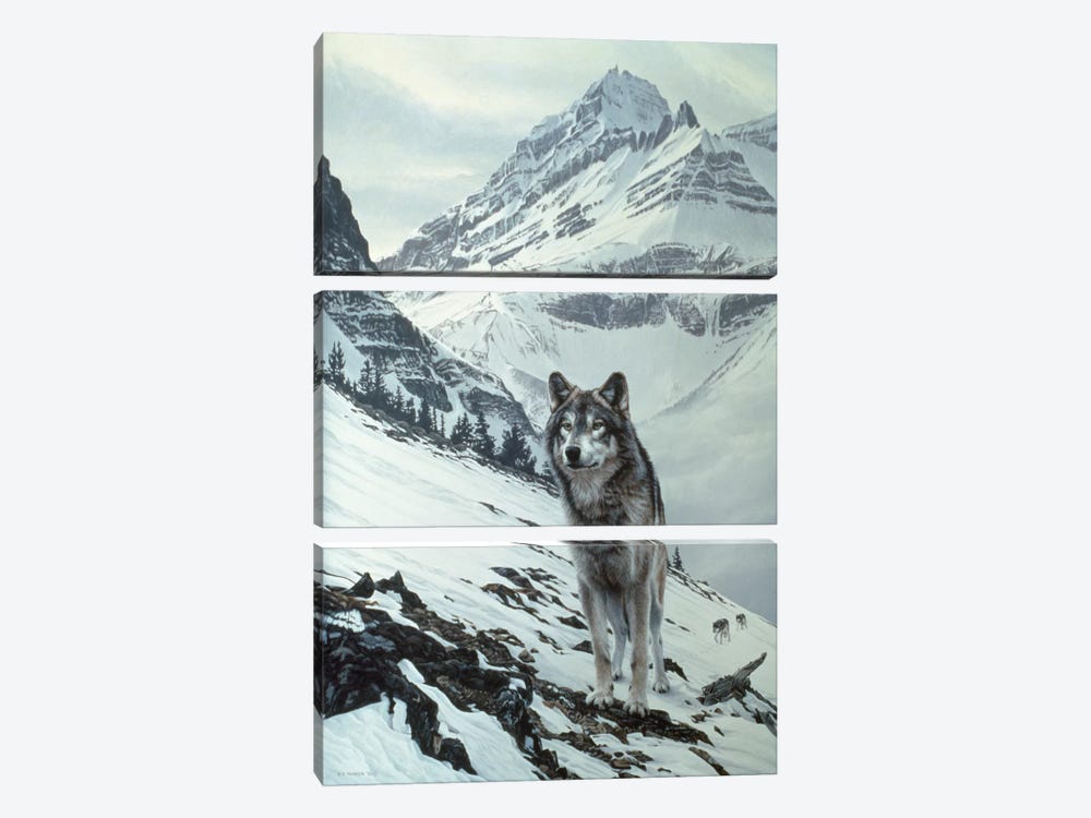 Winter Crossing - Wolf by Ron Parker 3-piece Canvas Art Print