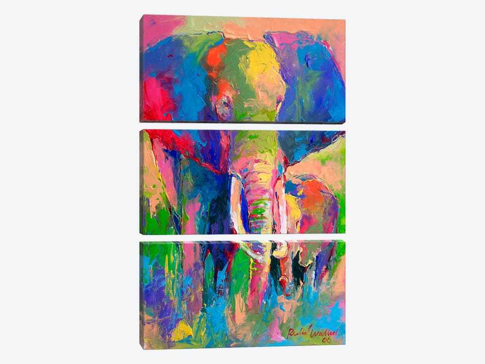 Elephant by Richard Wallich 3-piece Canvas Print