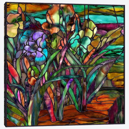 Candy Coated Irises Canvas Print #9704} by Mindy Sommers Art Print