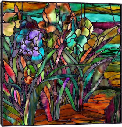 Candy Coated Irises Canvas Art Print