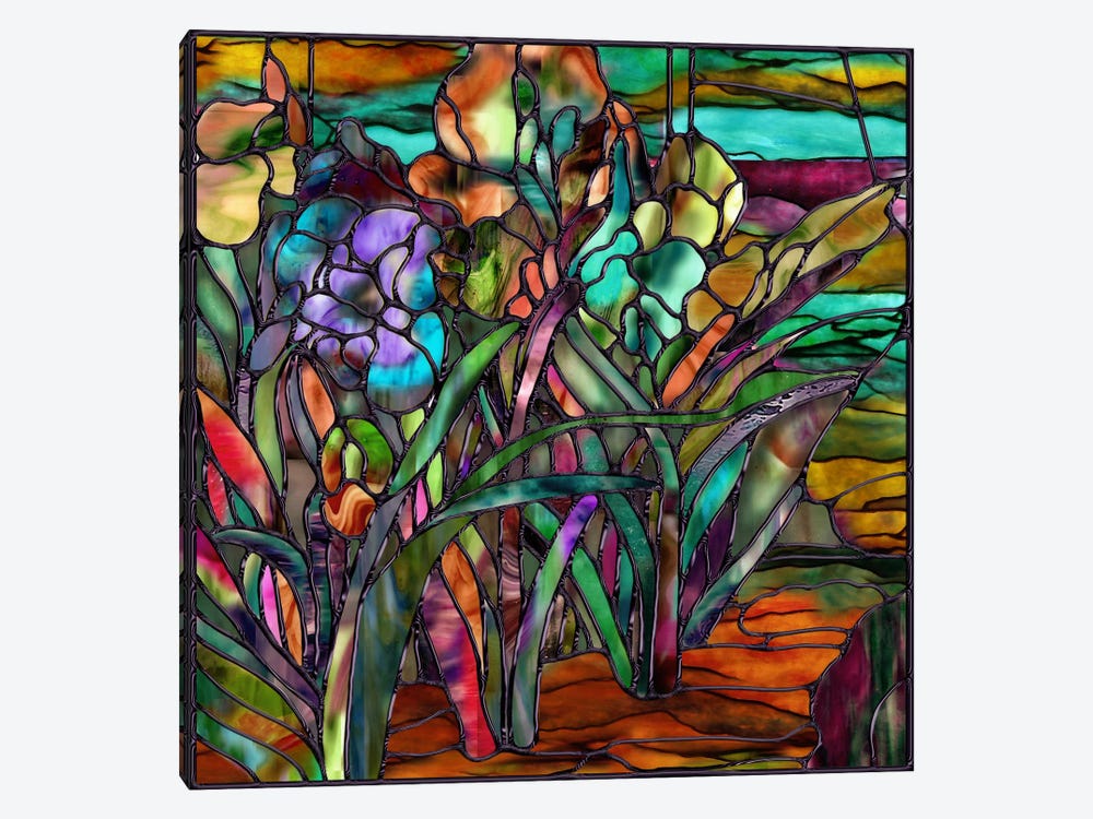Candy Coated Irises by Mindy Sommers 1-piece Canvas Artwork